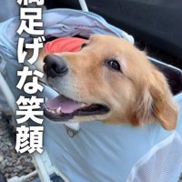 すっかりご満悦