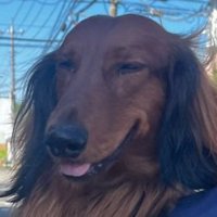 笑顔のだん君