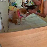 富士くんの雄姿を映したい