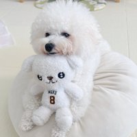 ぬいぐるみ