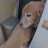 一目散に外へ飛び出した