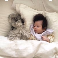 2人目の赤ちゃんとトトちゃん