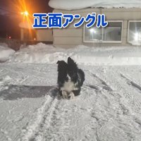 正面から見たU2くん