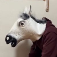 馬の被り物を着けた飼い主