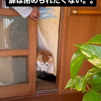 扉を開けるも…