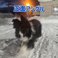 バレないように移動中♪