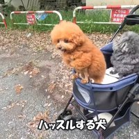 京都にやってきました♪