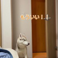 「もういい！」