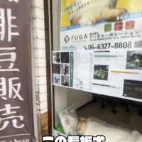 まだ営業時間中