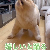 踊ってるかのような大歓喜♪