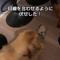 「大丈夫だよ」