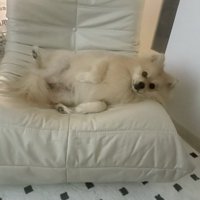 はみ出ちゃってます