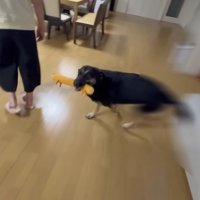 「待ってたよ～！！」