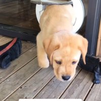 外へ行きたいときは…