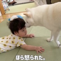 おまめちゃんは優しいお兄ちゃん♡