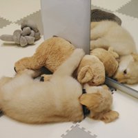 抱き合う