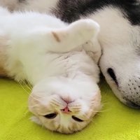 翌朝はすっかり元気♪