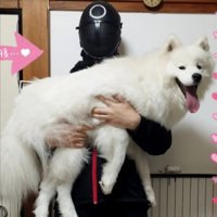 5倍