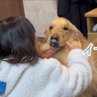 イーッと言う娘さん