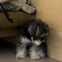 場所を変えても猫背