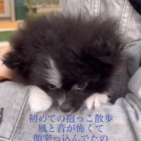 少し顔を出すレイくん