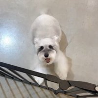 「おそーい！待ってたよ～！」