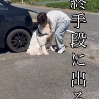 「お？抱っこか…？」