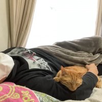 体調不良時のよもぎちゃん＆だいず君の対応⑩