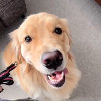 リリーちゃんと弟くんの初対面