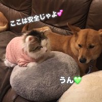 家が落ち着く場所になってきた