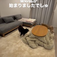火蓋が切られた！