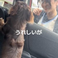 疲れも吹き飛ぶお出迎え