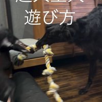 遊ぶときもダイナミック
