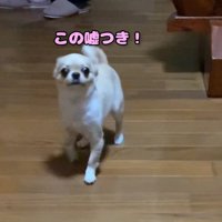 帰宅後、不満をあらわに！
