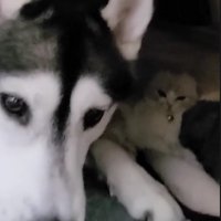 じゅんちゃんと一緒にいた♡