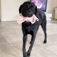 怒られる人形を見たえんぞう君の反応3