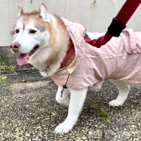 お下がり