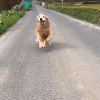 最年長のミントくん！