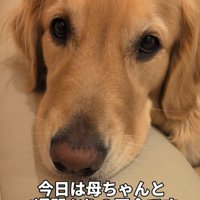 まるちゃんとママさんの再会2