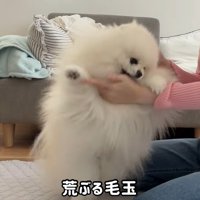 「よくもやったな～！」