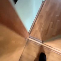 帰宅した飼い主さん