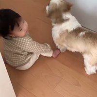 コロくんと赤ちゃんのシンクロ3