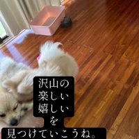 これからはひとりじゃない