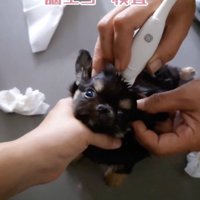 悶絶級の可愛さです