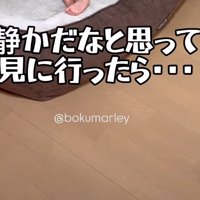 部屋