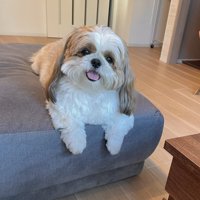 ニコニコ