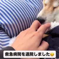 救急病院を退院したものの…