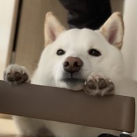 在宅