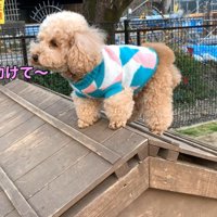 怖くてフリーズ！