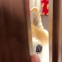 再び10秒間のお別れ